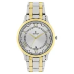 Titan NT1775BM01 Analog Quartz Watch with Date Silver Dial and Two-Tone Stainless Steel Strap for Men